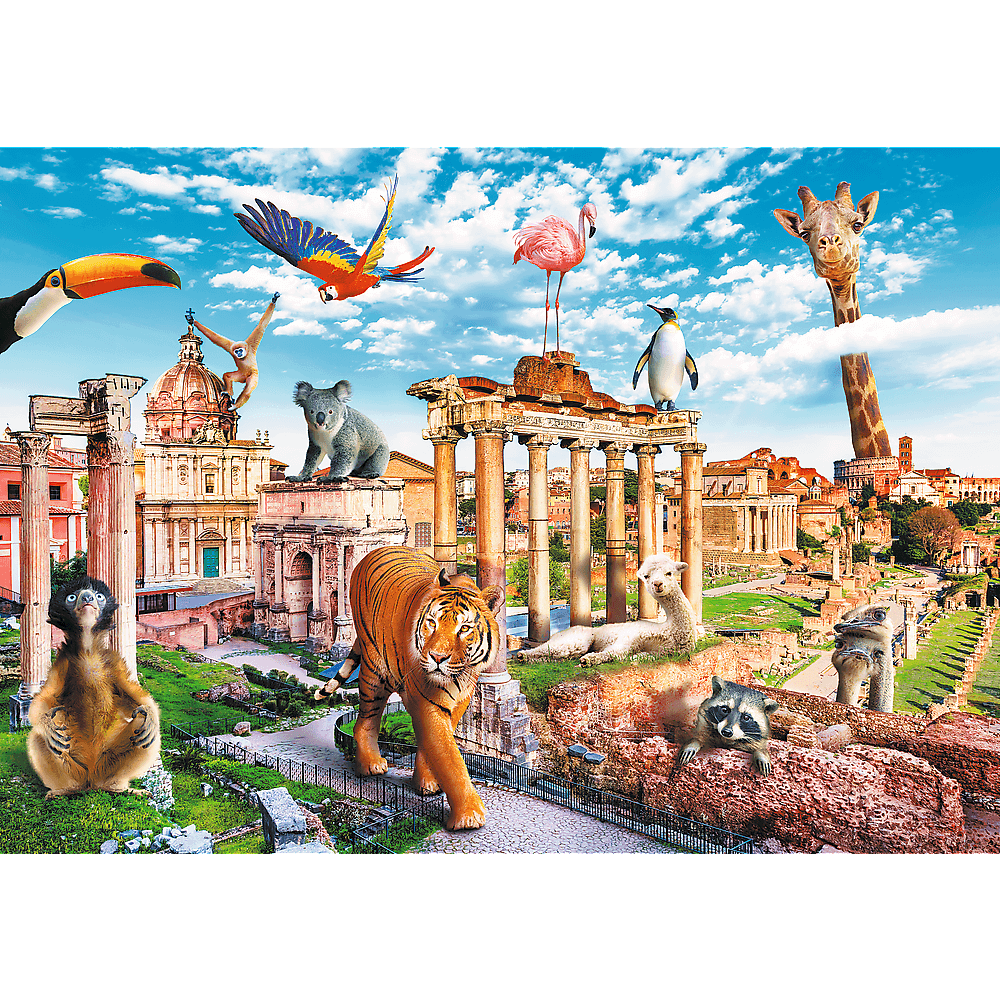 Funny Cities, Wild Rome - 1000 Brikker - Nordisk Spil