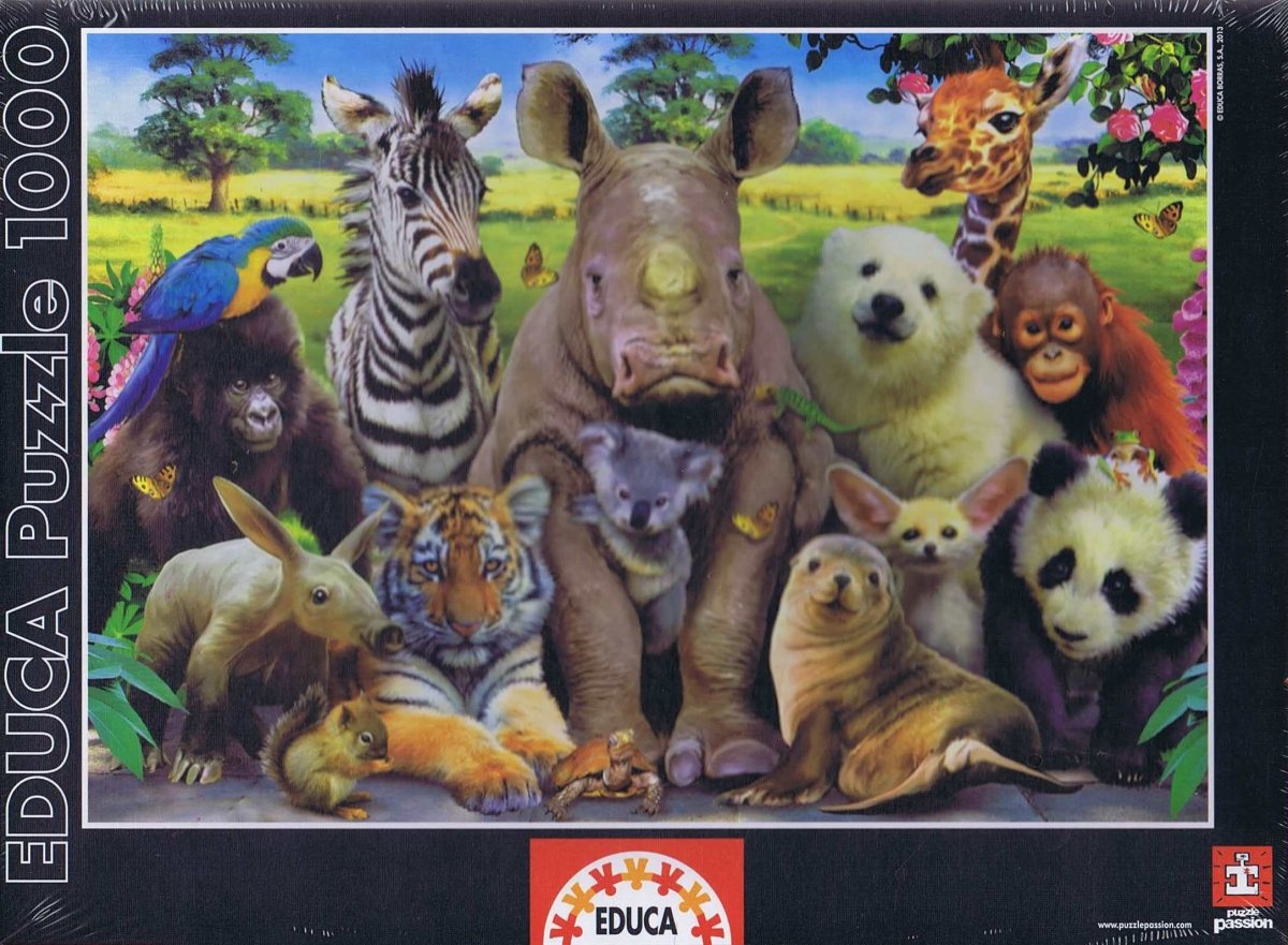 Klassefoto - 1000 brikker - Nordisk Spil