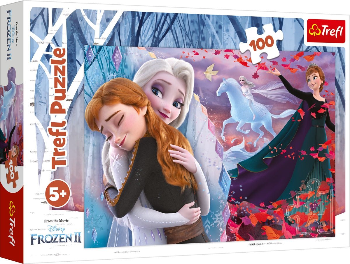 Frozen - 100 brikker - Nordisk Spil