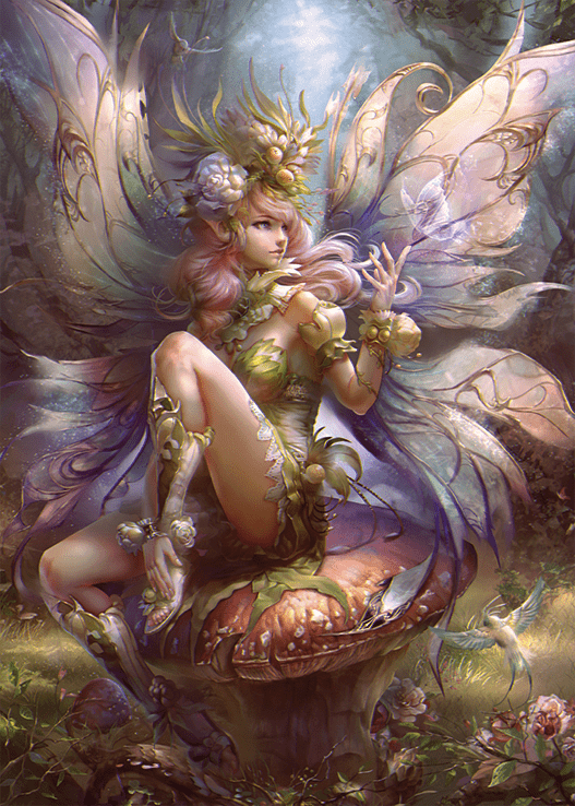 Fortryllende Fe - 1000 brikker - Nordisk Spil