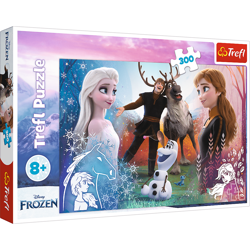 Frozen - 300 brikker - Nordisk Spil