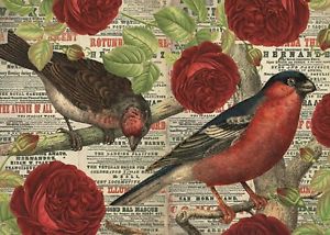 Birds Love Flowers - 500 brikker - Nordisk Spil