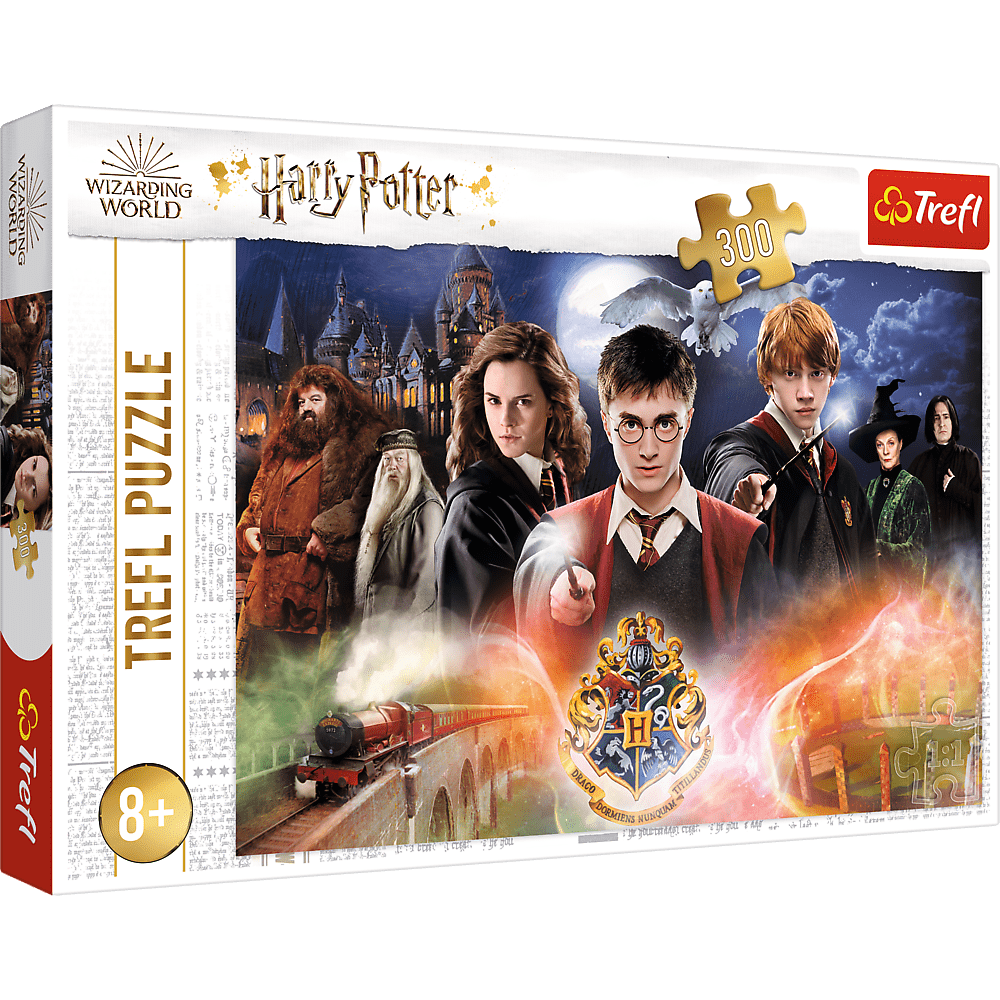Harry Potter - 300 brikker - Nordisk Spil