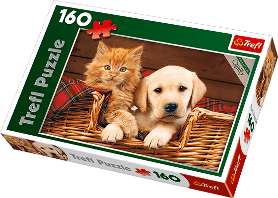 Sammen er bedre - 160 brikker - Nordisk Spil