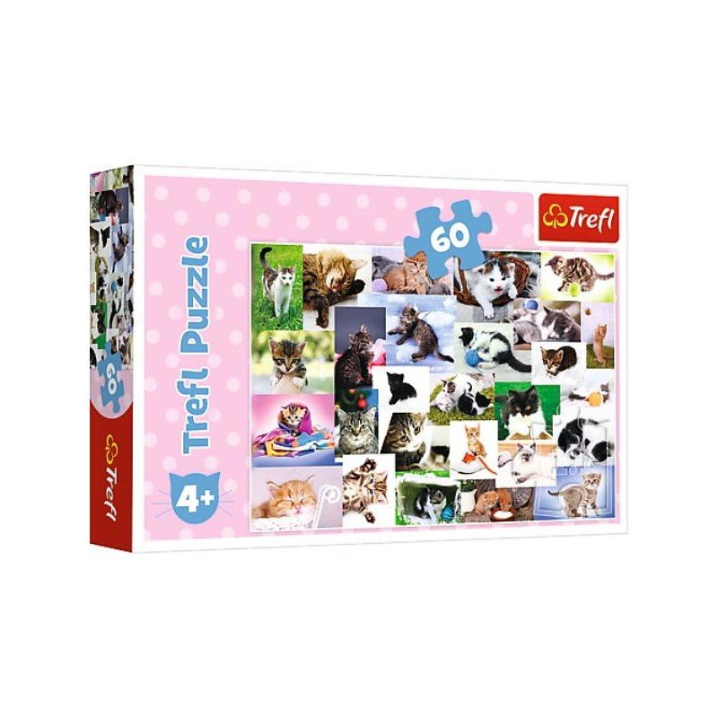 Cat&39;s World - 60 brikker - Nordisk Spil