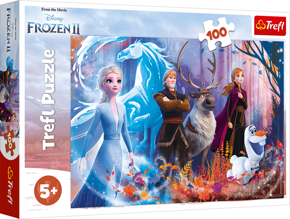 Disney Frost 2 - 100 brikker - Nordisk Spil