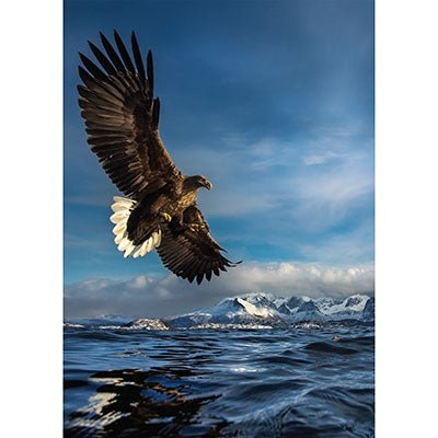 Hunting Eagle - 1000 brikker - Nordisk Spil