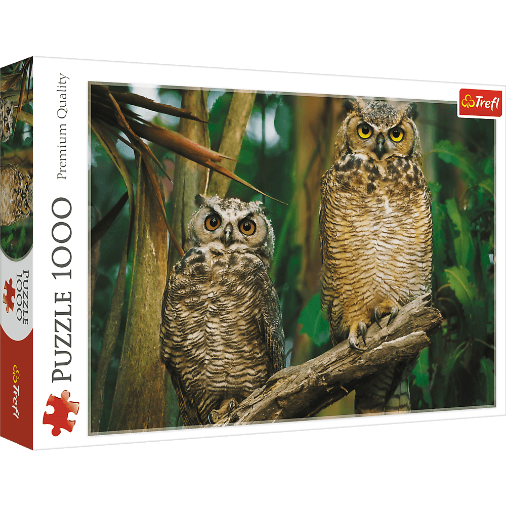 Owls - 1000 Brikker - Nordisk Spil