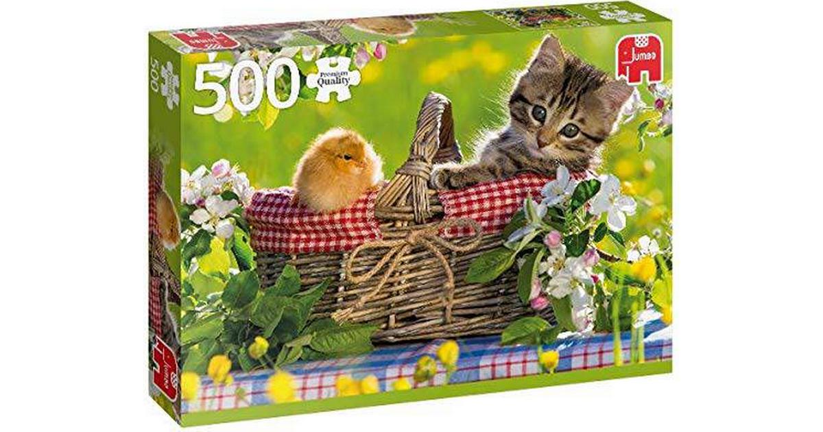 Ready for a picnic - 500 Brikker - Nordisk Spil