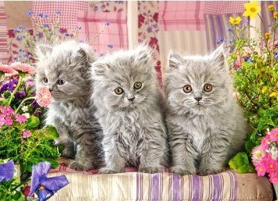 Three Grey Kittens - 300 brikker - Nordisk Spil