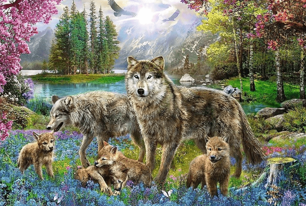 Family of Wolves - 1000 Brikker - Nordisk Spil