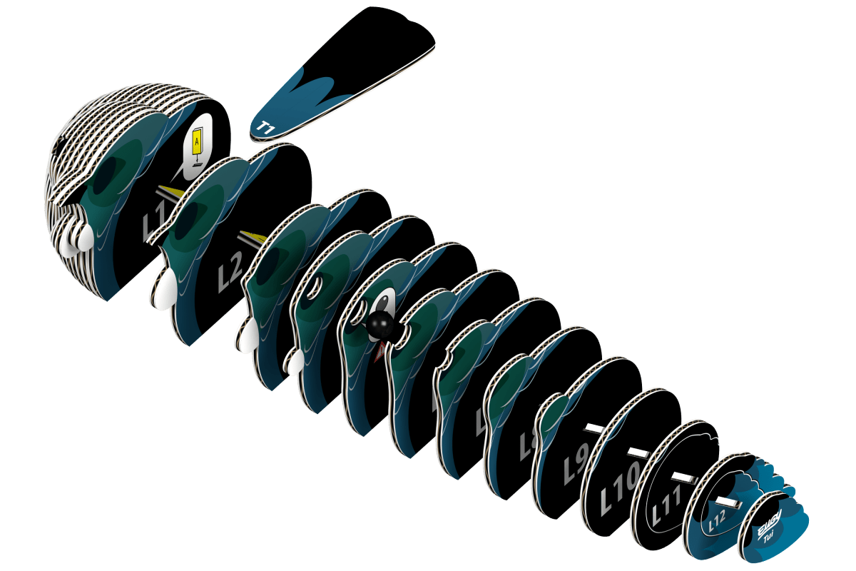Eugy Tui - fugl – 3D puslespil - Nordisk Spil