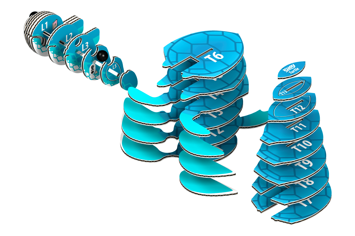 Eugy Skilpadde – 3D puslespil - Nordisk Spil