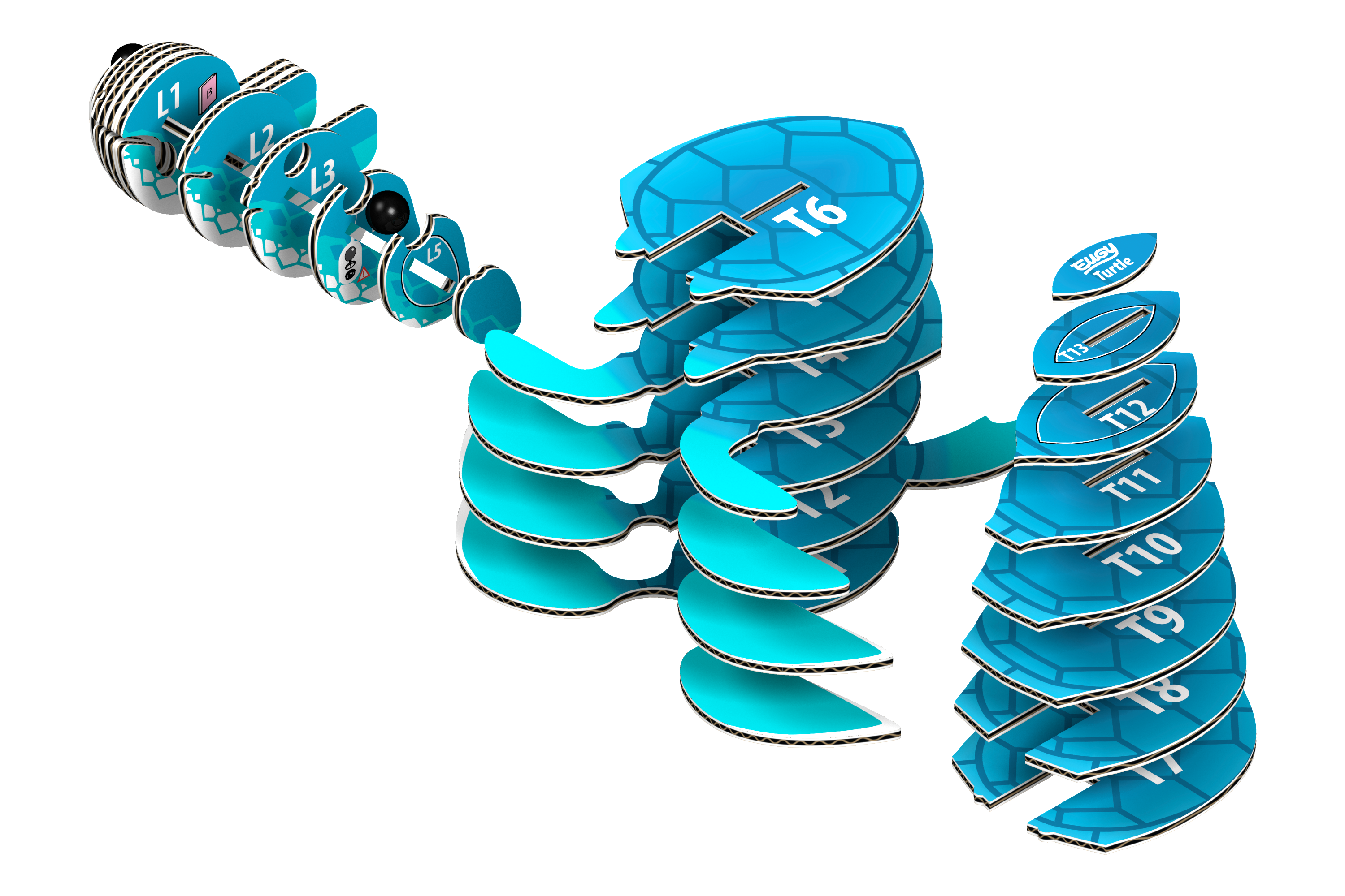 Eugy Skilpadde – 3D puslespil