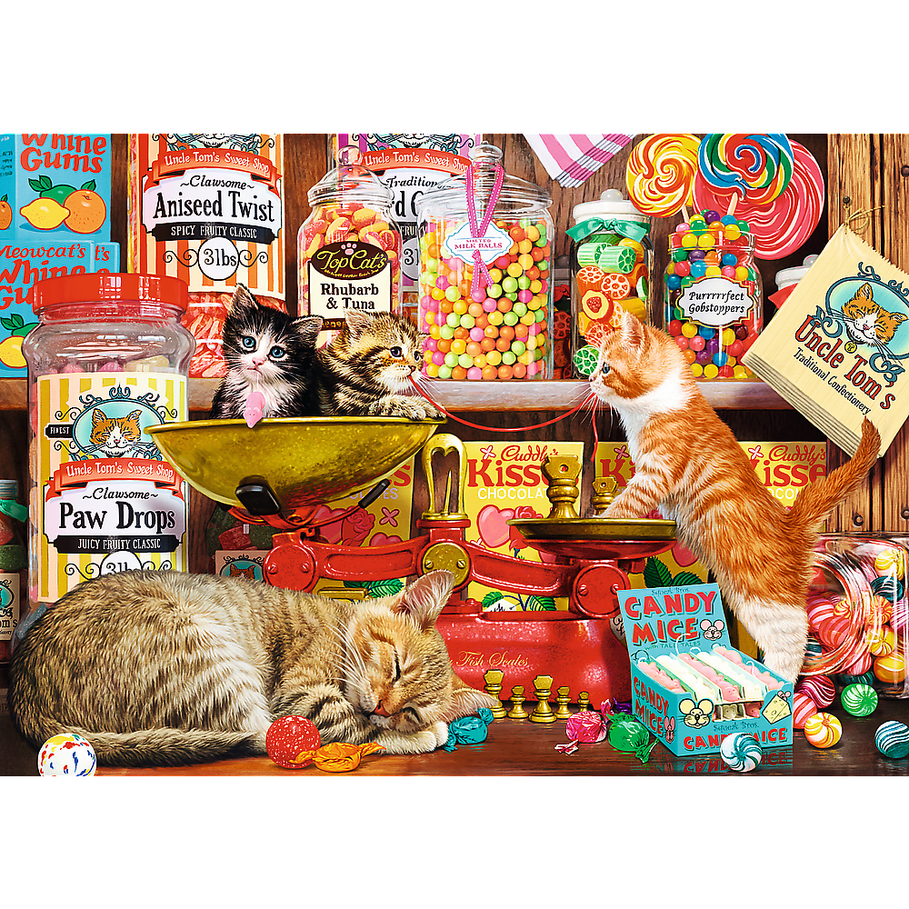 Cat&#39;s sweets - 1000 Brikker