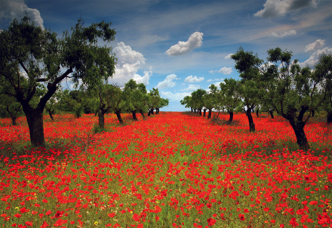 Poppy Field, 1000 brikker