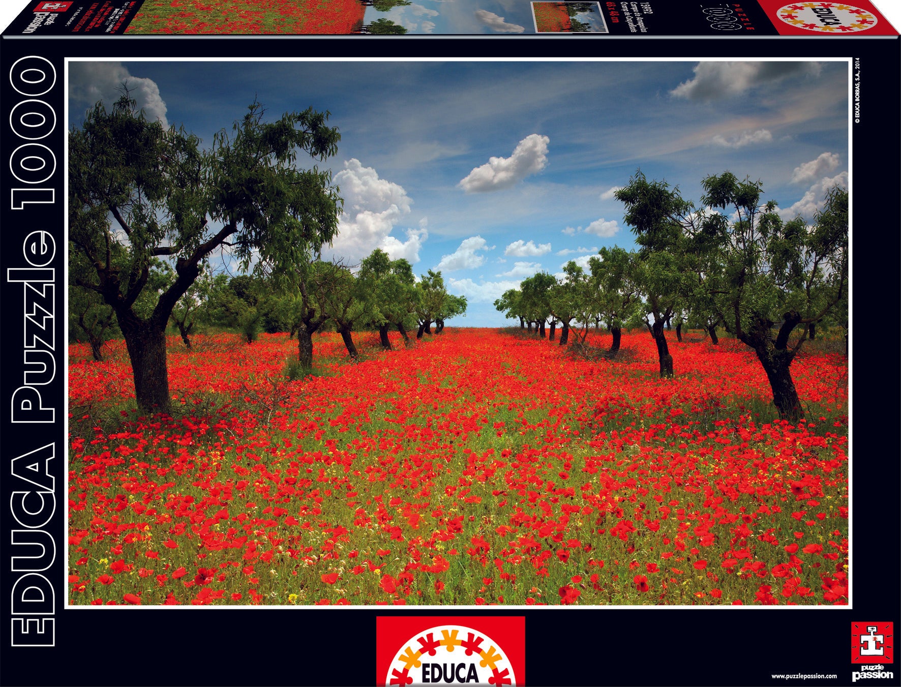Poppy Field, 1000 brikker