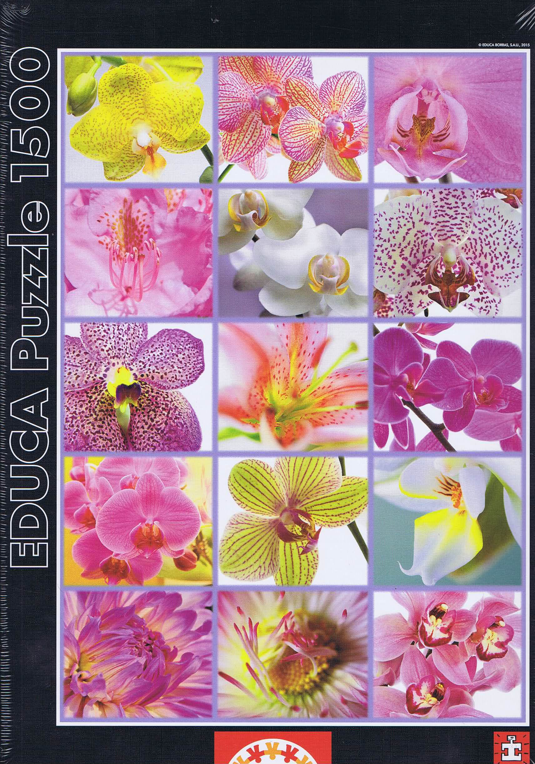 Collage of Flowers - 1500 brikker