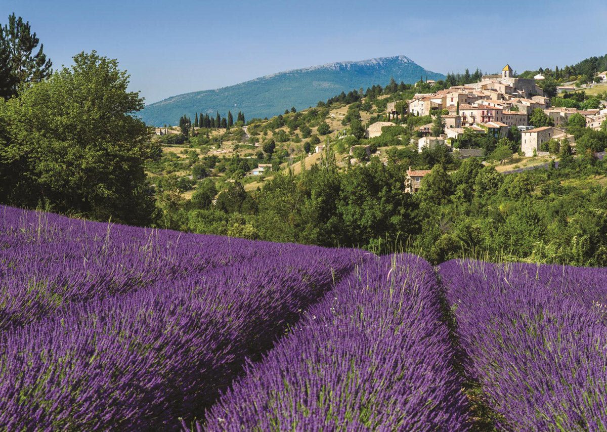 Provence, Aurel - 500 brikker - Nordisk Spil