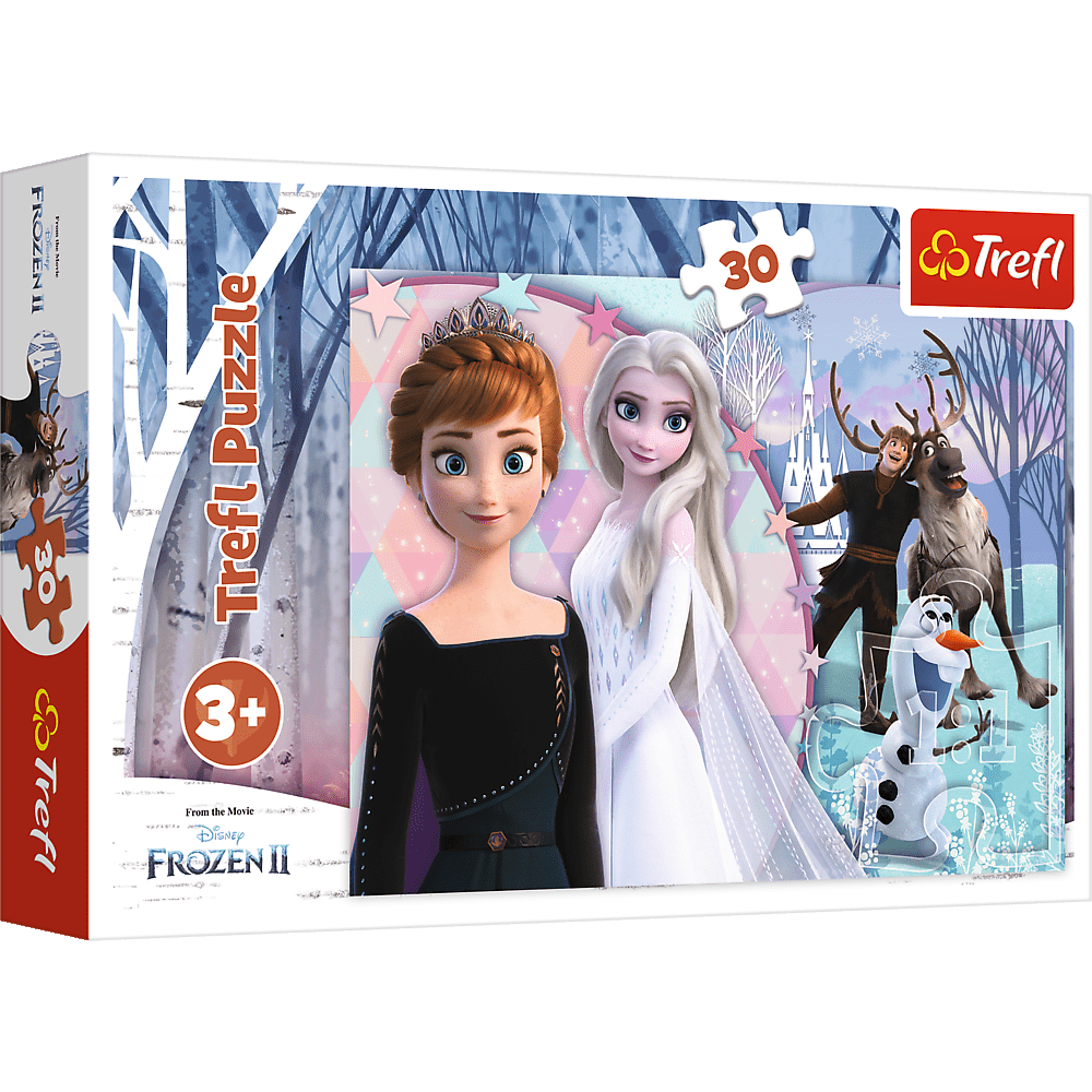 Disney Frost 2 - 30 brikker - Nordisk Spil