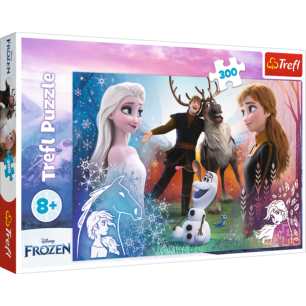 Frozen - 300 brikker