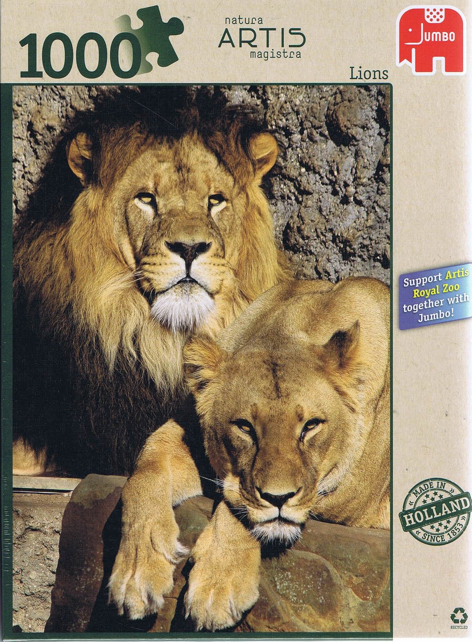 Lions - 1000 brikker