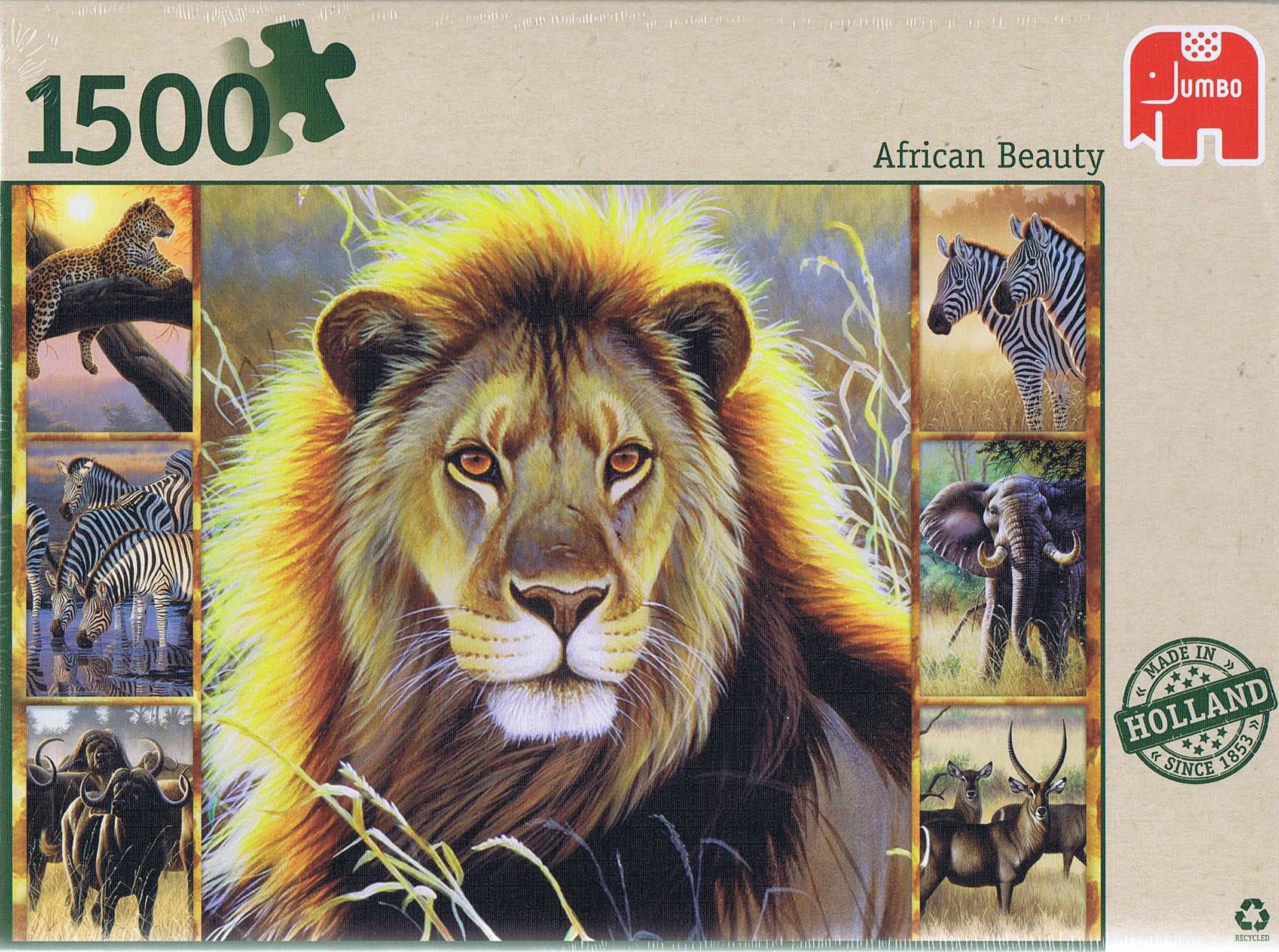 African Beauty - 1500 brikker