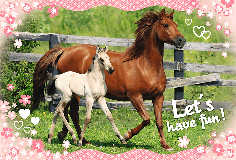 Sweet and lovely - 160 brikker - Nordisk Spil