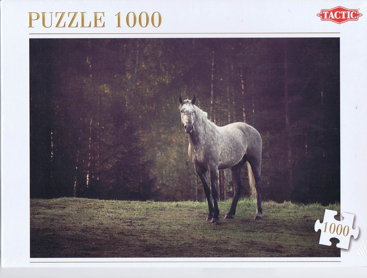 Alone, 1000 brikker - Nordisk Spil