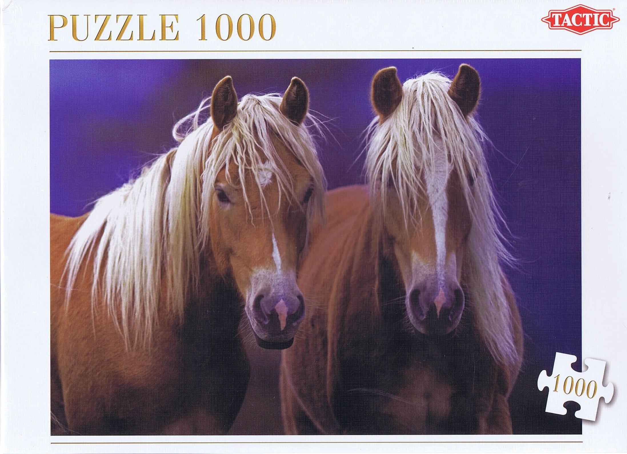 Two Horses, 1000 brikker
