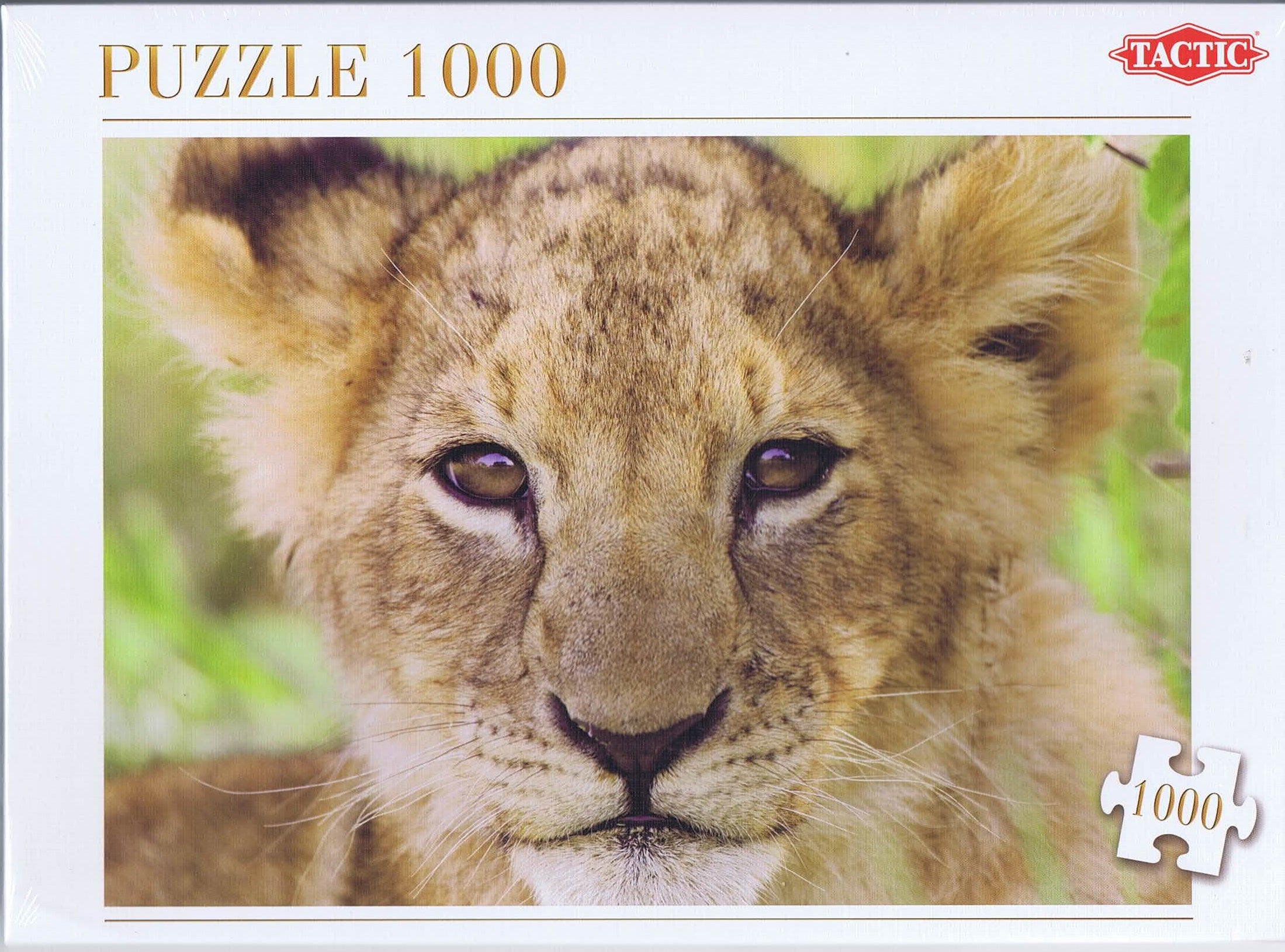 Lion - 1000 brikker