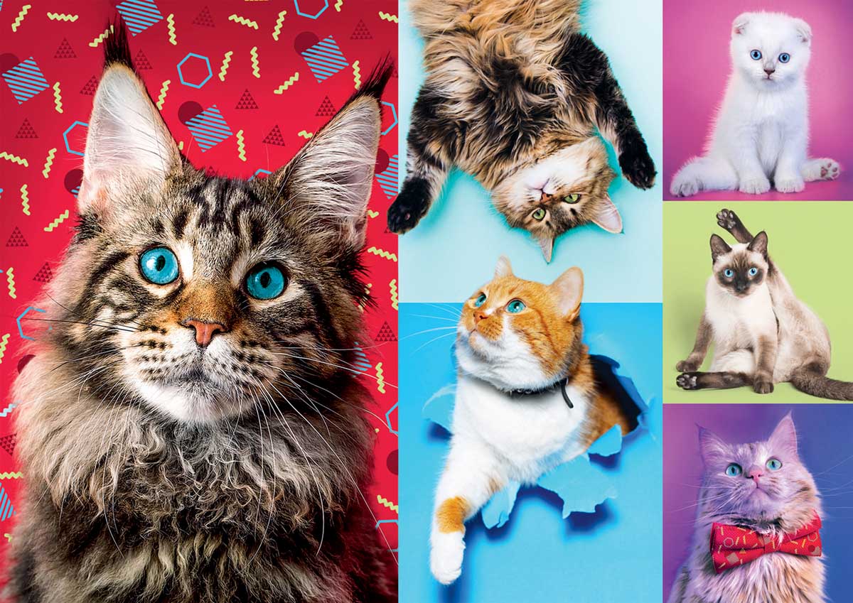Happy Cats - 1000 brikker