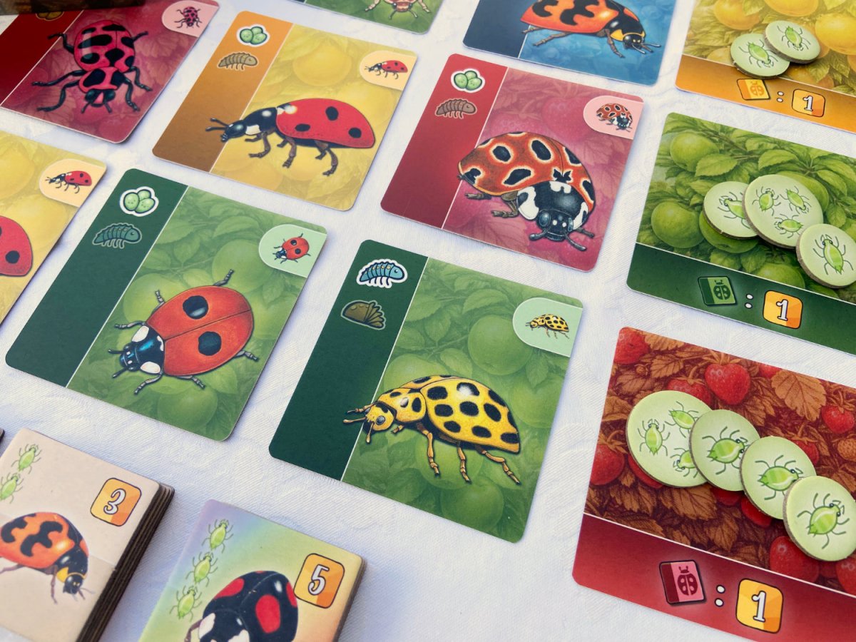 Ladybird - Nordisk Spil