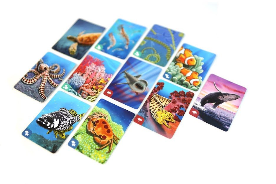 Ecosystem: Coral Reef - Nordisk Spil