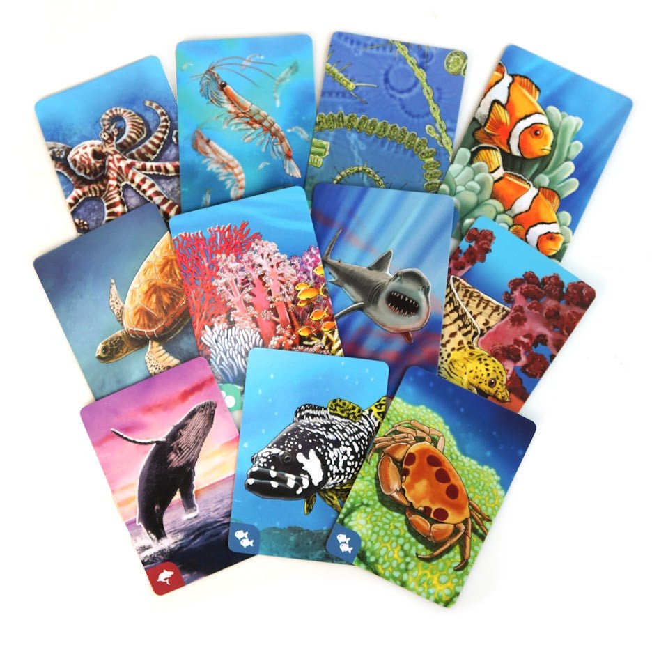 Ecosystem: Coral Reef - Nordisk Spil