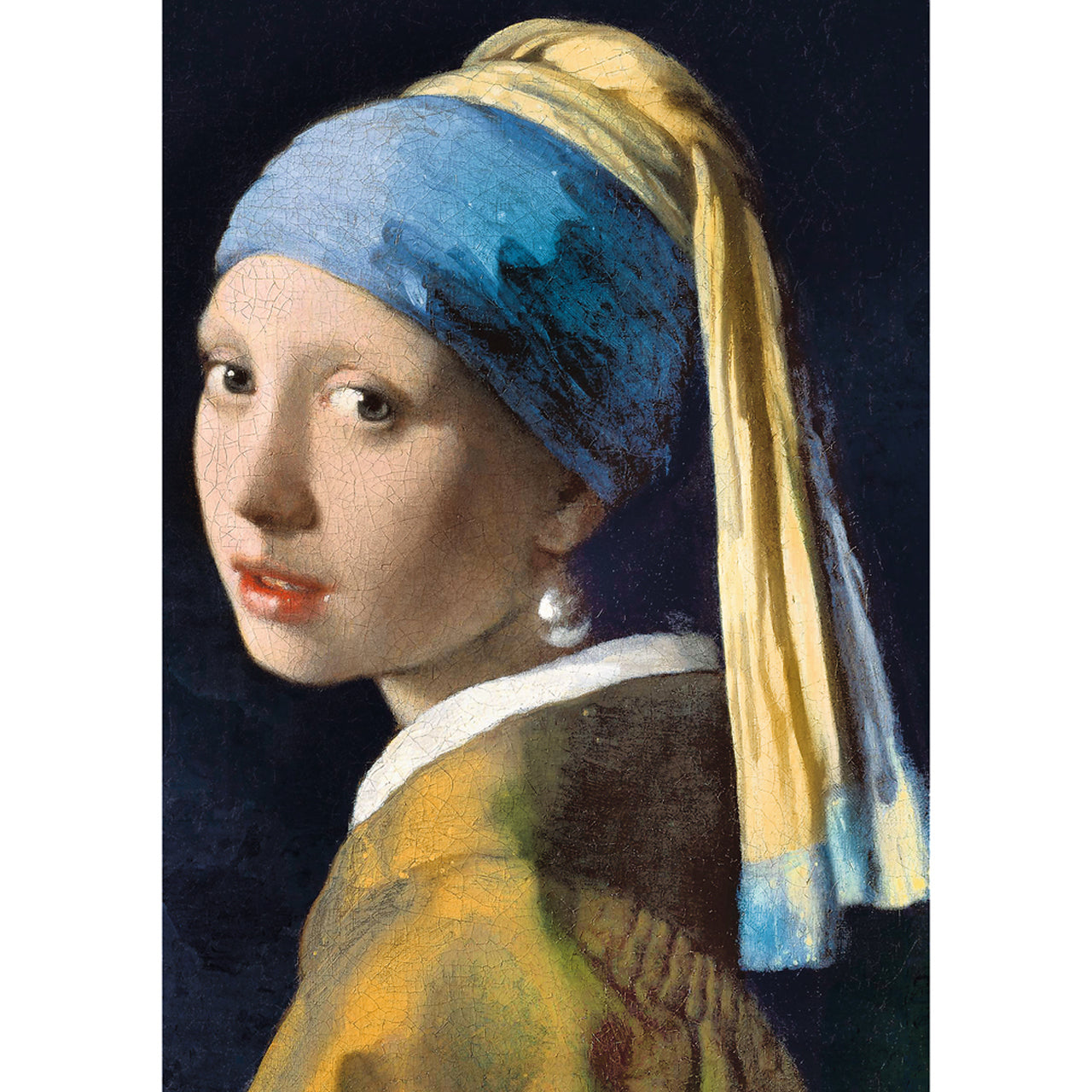 Girl with a pearl earring - 1000 brikker