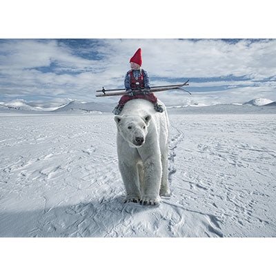 Reading to the Polar Bear - 1000 brikker - Nordisk Spil