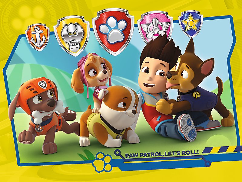 Paw Patrol, 30 brikker