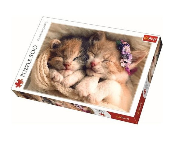 Sleeping kittens, 500 brikker