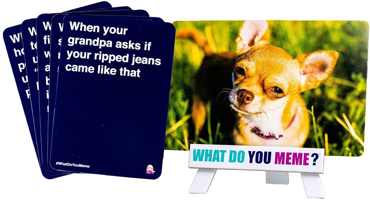 What do you Meme? - Basic Bitch Pack Expansion - Nordisk Spil
